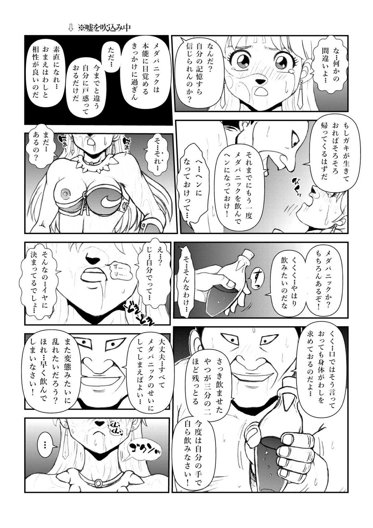 ずっとレオナ姫を狙っていたクズ王子が王になりレオナ姫に催眠状態にして、レオナ姫の全身を舐め回して犯しまくる！【ダイの大冒険・エロ同人誌】