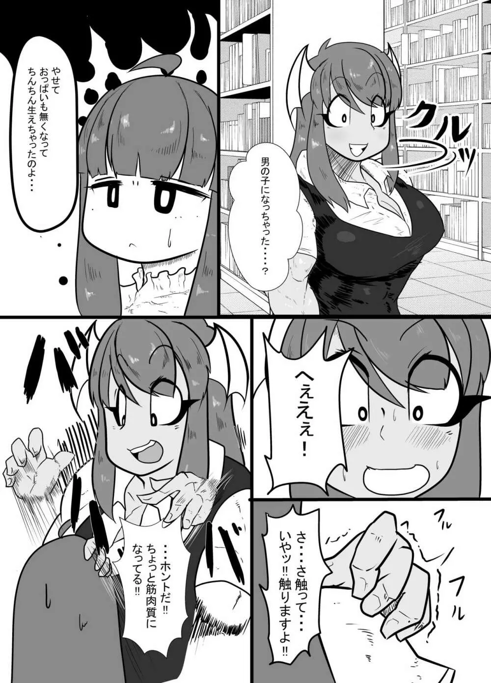 倒錯! ぱちゅこあっくす