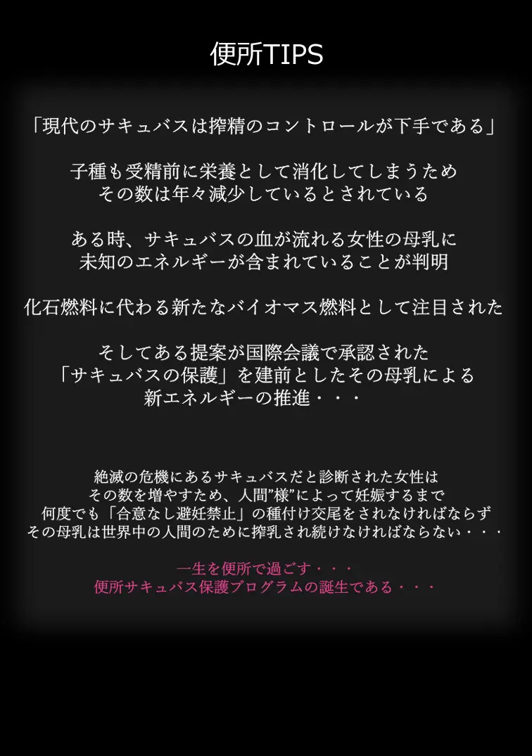 無責任に子種汁をどぷどぷ流し込まれる便所サキュバスに認定された少女達