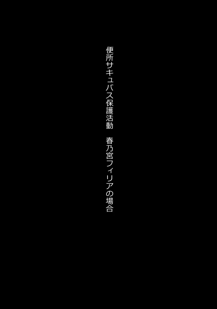 無責任に子種汁をどぷどぷ流し込まれる便所サキュバスに認定された少女達